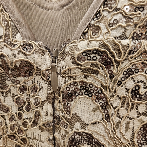 Xscape Embroidered Sequined Ball Gown Lace-Bodice Belted Gown Size 6 NWT - Picture 12 of 16